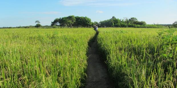 AI:Colombia’s land restitution process failing those forced off their land