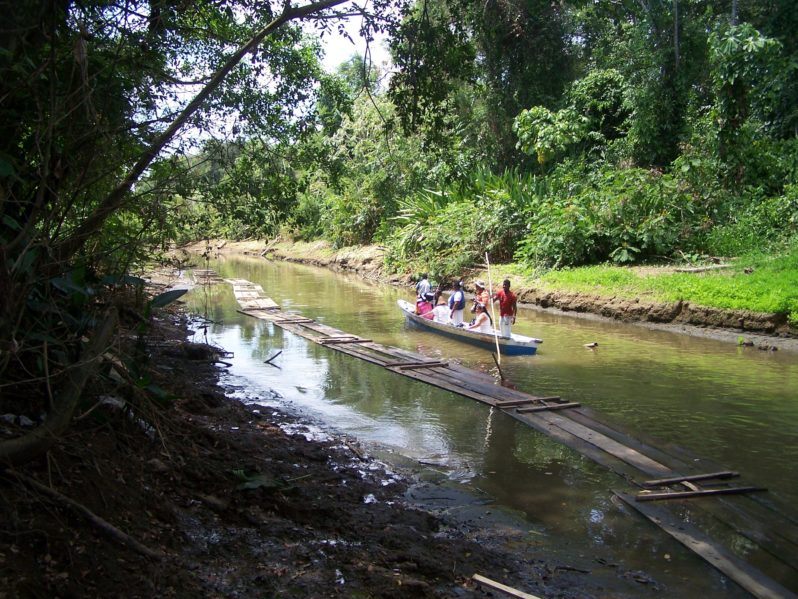 Mitmachen: UA von amnesty zu bedrohten Gemeinden im Chocó