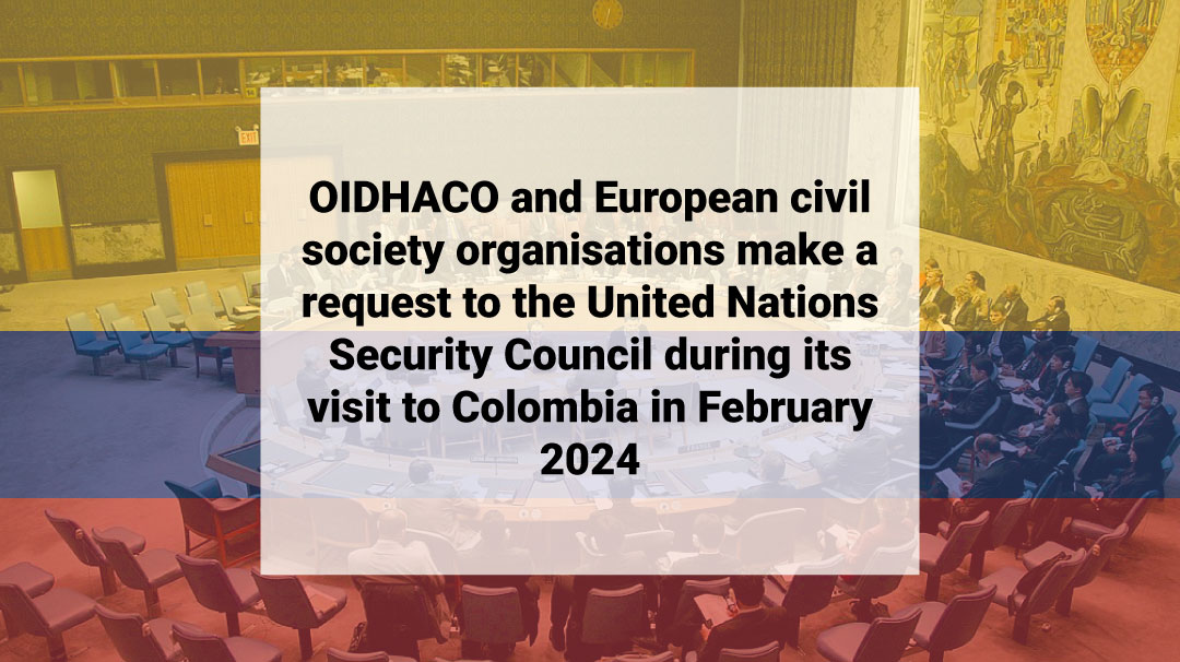 OIDHACO and European civil society organisations make a request to the UN Security Council during its visit to Colombia in February 2024